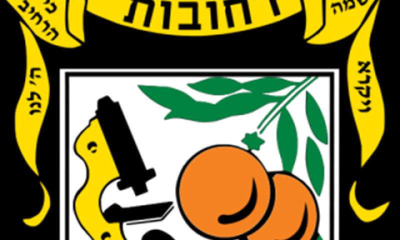 "בניגוד לחוקי העזר"