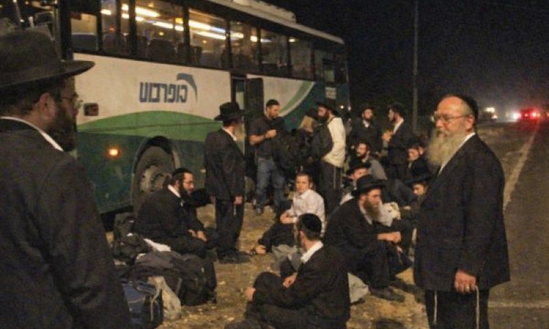 הופקרו בצד הדרך [עיבוד AI]