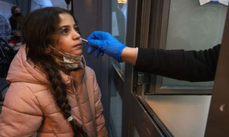 שני מכרזים לבדיקות [צילום אילוסטרציה: אוליביה פיטוסי, פלאש 90]