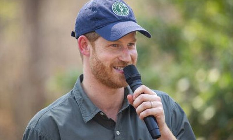 הארי. "מקבל ייעוץ גרוע" [צילום: AP]