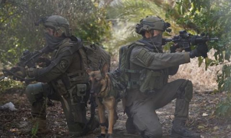 הפעילות הקרקעית ברצועה [צילום: דובר צה"ל]
