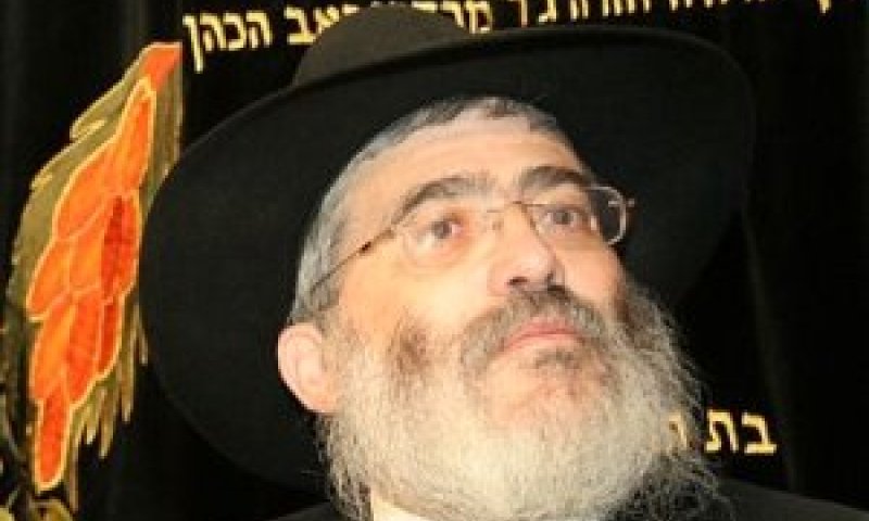 גוטניק. בפעם השנייה [צילום: COL חבד אונליין]