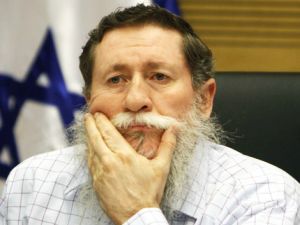 כץ. תחשיב מצומצם [צילום: פלאש 90]