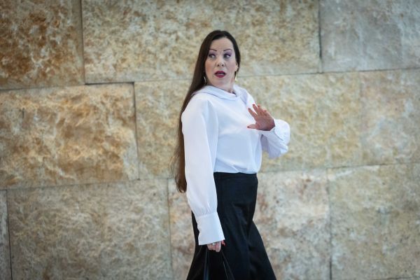 גוטליב בדיון על מינוי זיני [צילום: יונתן זינדל/פלאש 90]