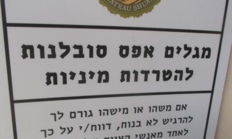 [צילום: איתמר לוין]
