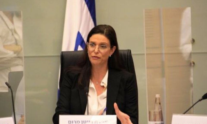 ח"כ אפרת רייטן מרום [צילום: דני שם-טוב, דוברות הכנסת]