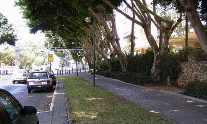 עסקות משתלמות ביותר בדימונה