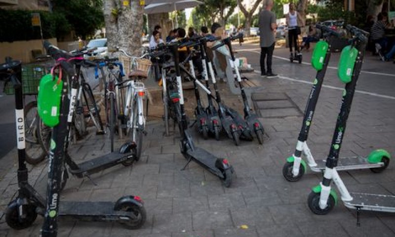 גלגינועים של "בירד" בת"א [צילום: מרים אלסטר/פלאש 90]