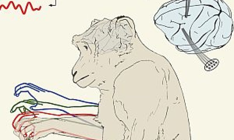 [צילום: האוניברסיטה העברית]