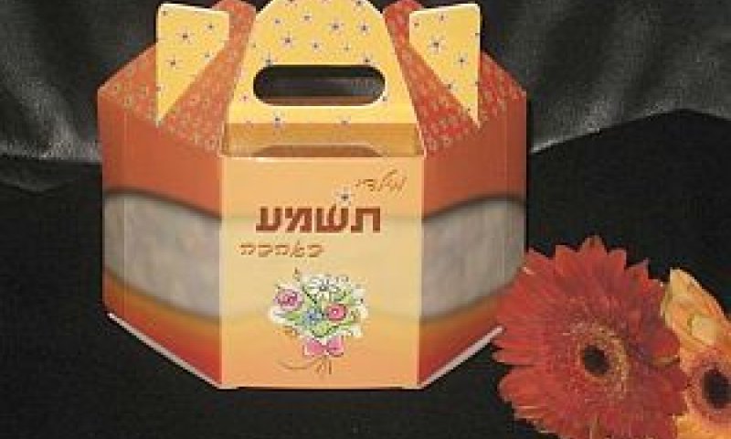 [צילום: יח"צ]