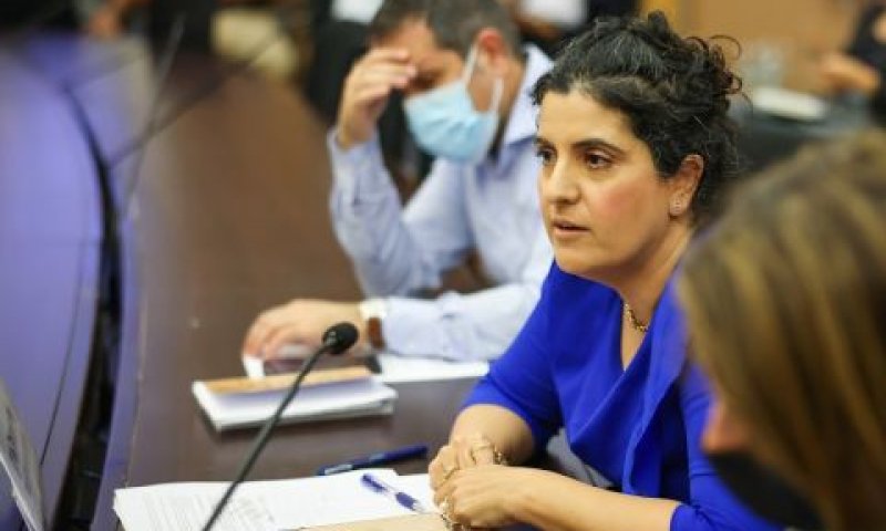 אפיק. העבירה את המחקר המשפטי [צילום: נועם מושקוביץ, דוברות הכנסת]