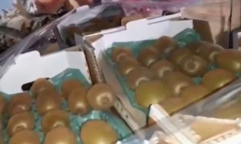 הקיווי המוברח [צילום: משרד החקלאות]