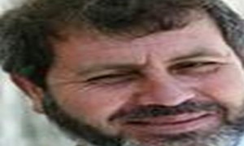 אלבטש [צילום: AP]