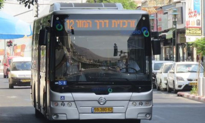 נהג. צריך להיות מקצוע מוכר [צילום: שמואל וולף]