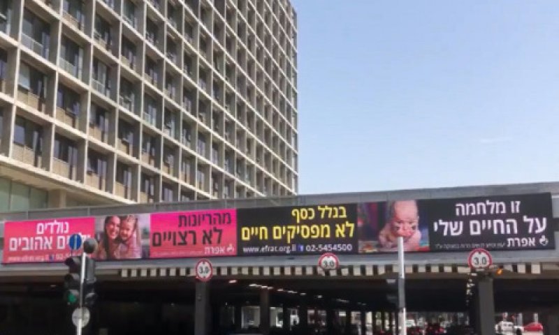 הפרסום של אגודת אפרת