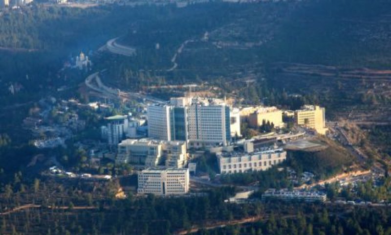 הדסה עין כרם [צילום: משה שי/פלאש 90]