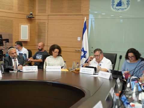 [צילום: דני שם-טוב/דוברות הכנסת]