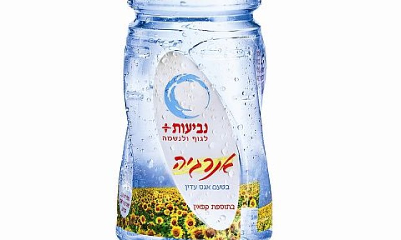 [צילום: מנחם רייס-יח"צ]