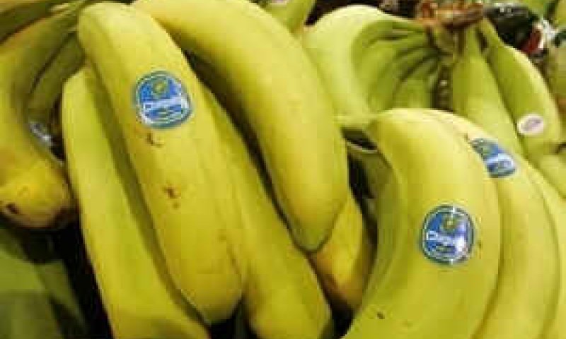פרי מגרה [צילום: AP]