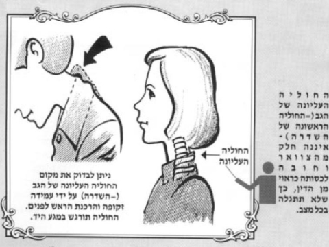 [להגדלה לחצו]