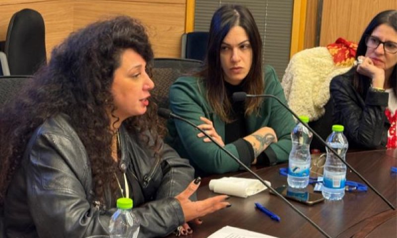 שי-לי עטרי בוועדה בכנסת [צילום: דוברות הכנסת]