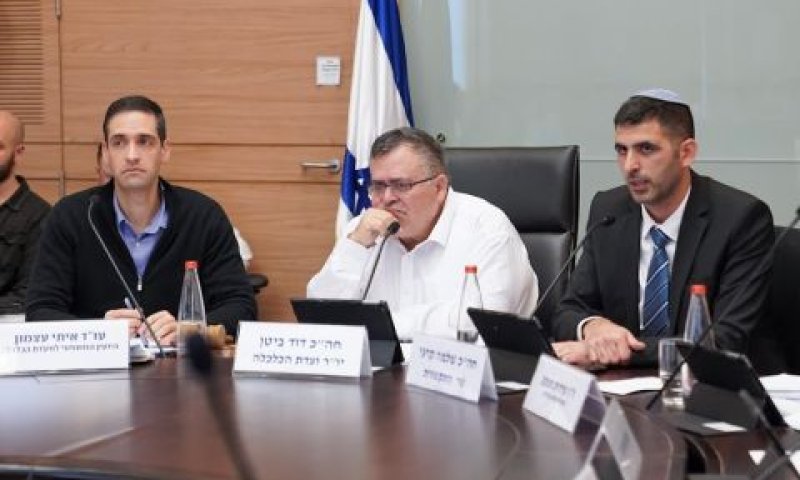 קרעי וביטן בוועדת הכלכלה [צילום: דני שם-טוב/דוברות הכנסת]