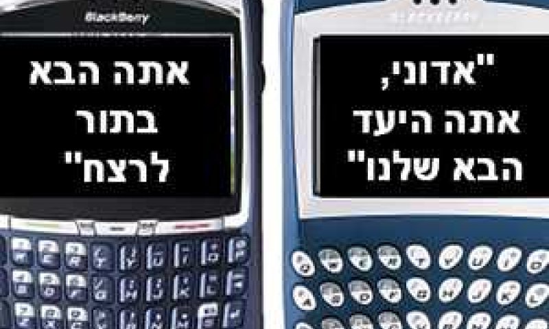 היעד הבא: כבשים מוחרמות