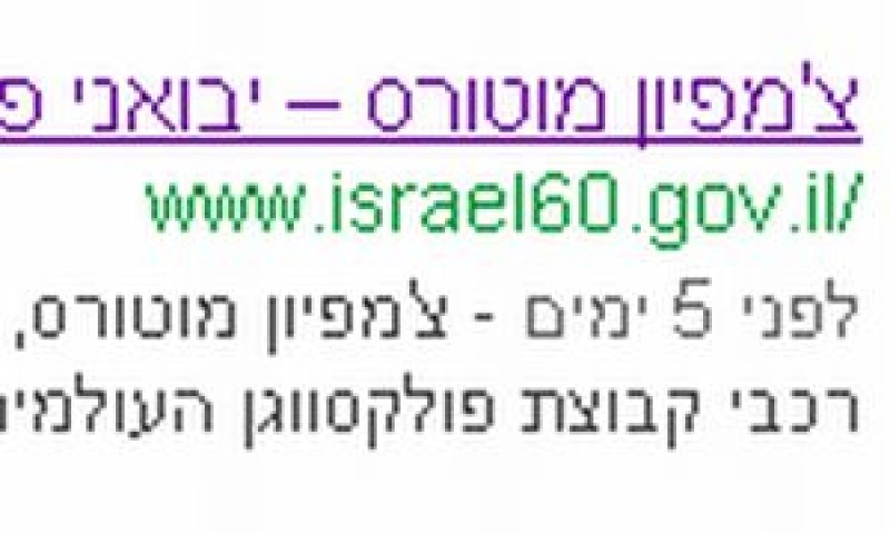 גם חיפוש בגוגל הראה שאתר צ'מפיון מוטורס יושב על דומיין ממשלתי
