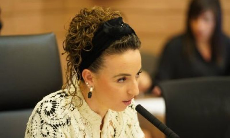 עידית סילמן. יו"ר הקואליציה [צילום: דני שם-טוב, דוברות הכנסת]