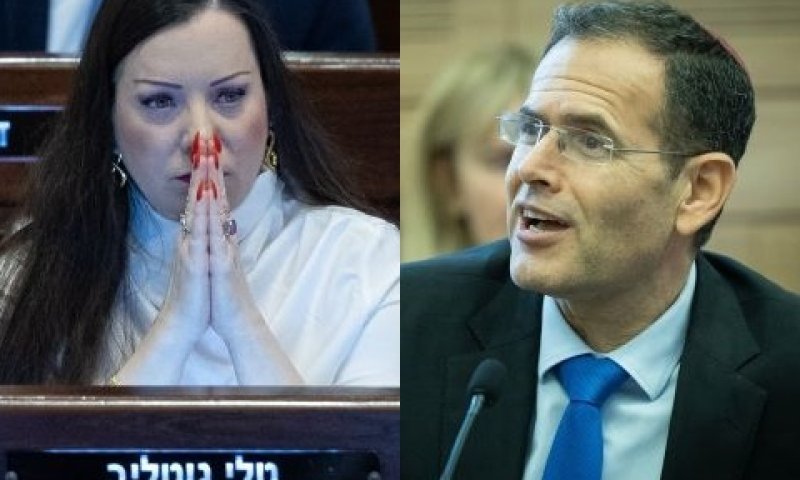סעדה וגוטליב. מה יעשו במליאת הכנסת [צילום: יונתן זינדל, פלאש 90]