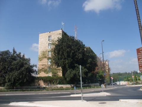 פקידי האוצר משמרים את המונופול [צילום: איתמר לוין]