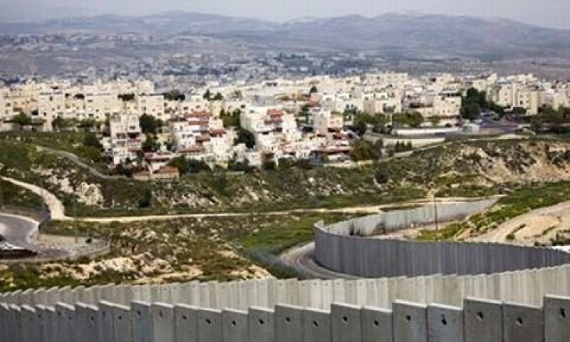 0סגת זאב [צילום: AP]