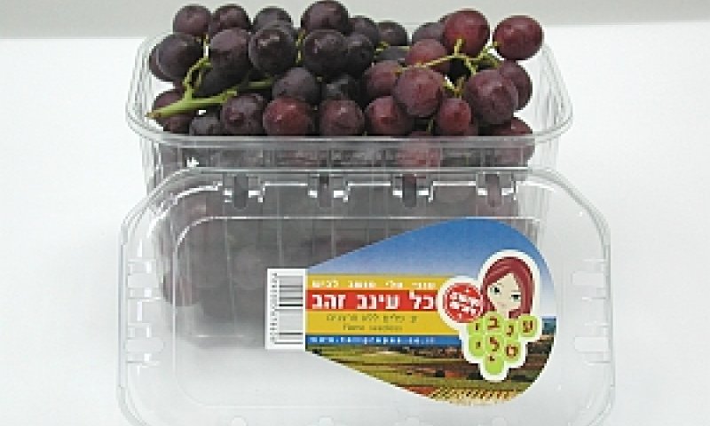 ענבים מזן פליים