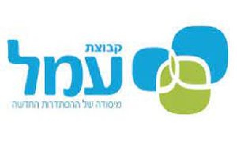 קבוצת עמל