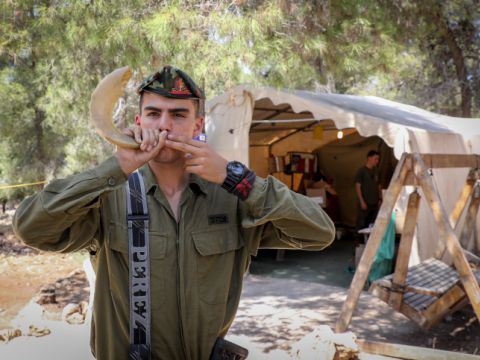[צילום: גרשון אליסון/פלאש 90]