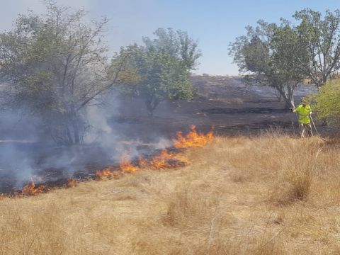 שריפה באזור הנגב המערבי [צילום: דני בן דוד יערן קק״ל]