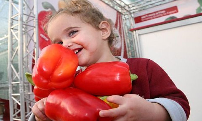[צילום: דודו קורן]