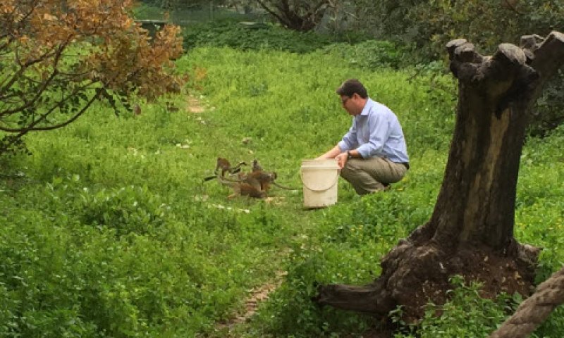 סבל רב [צילום: המשרד הלהגנת הסביבה]