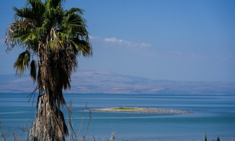 אירוע ממוקד סמוך לקיבוץ מעגן [צילום: אייל מרגולין, פלאש 90]