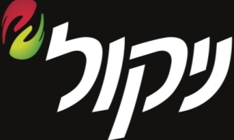 [צילום: יח"צ]