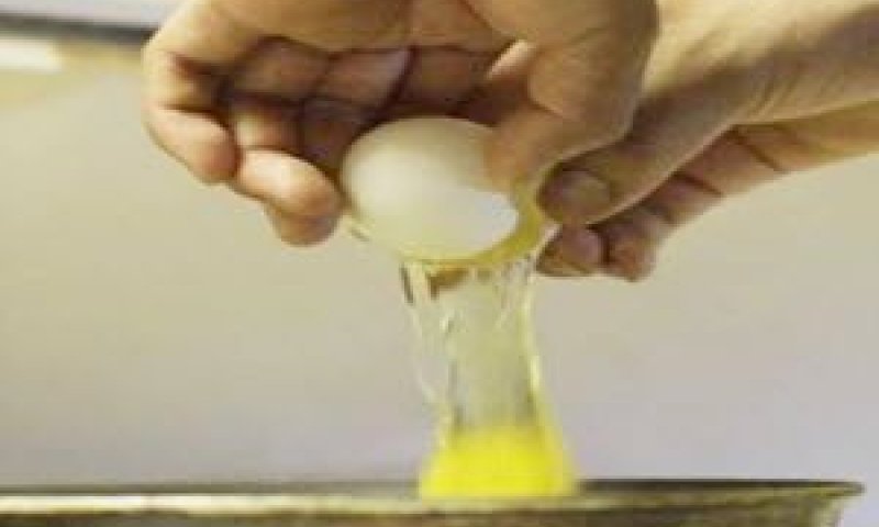 ביצים מסוכנות? [צילום: AP]