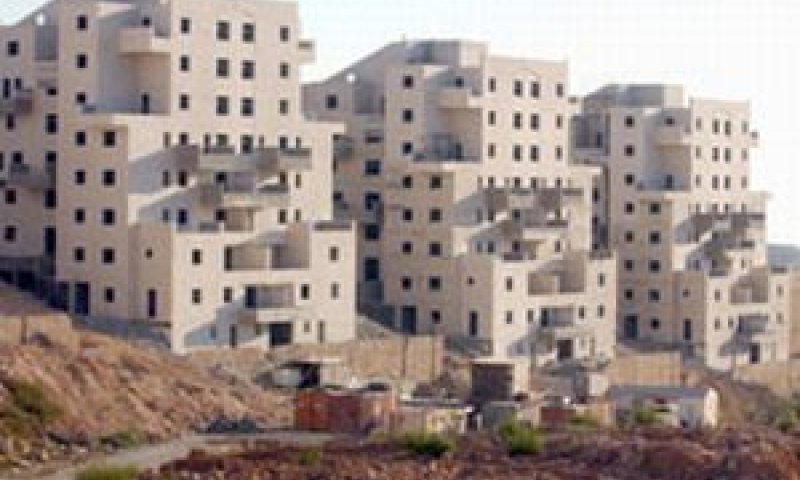 חפציבה [צילום: AP]