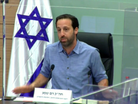 שפע. להתייחס גם למטרות הארגונים