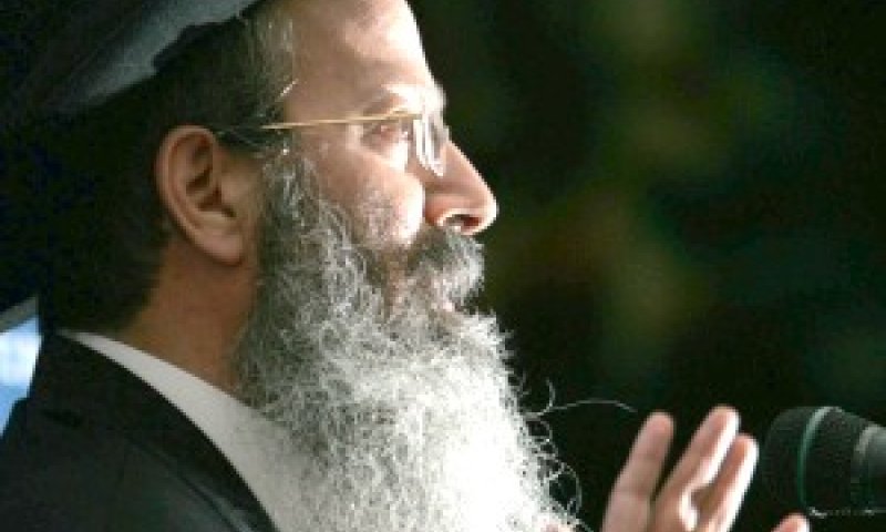 שוקל להתפטר. הרב מלמד [צילום: פלאש 90]
