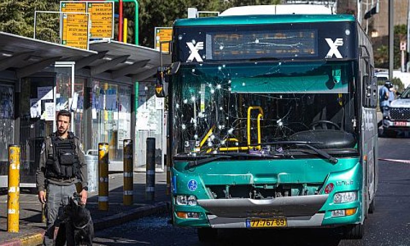 [צילום: אוליביה פיטוסי/פלאש 90]