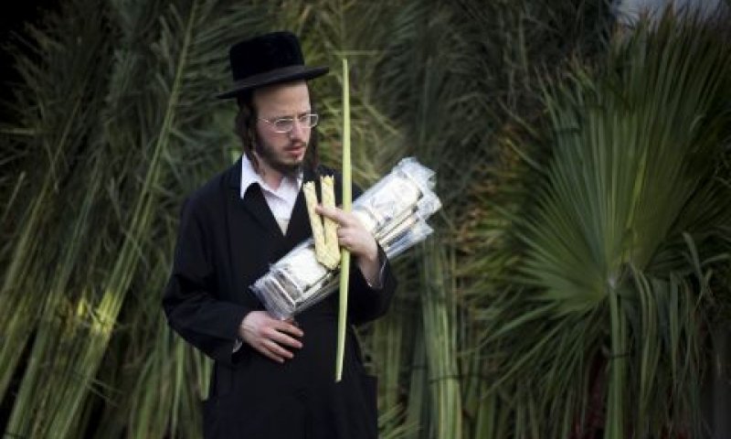 [צילום: AP]