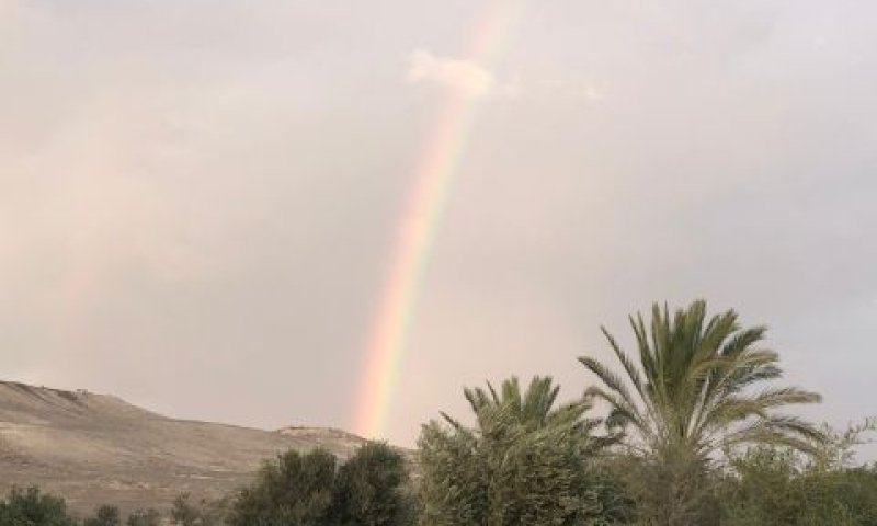 [צילום: גבי צנטנר קשת בגן הלאומי תל ערד רשות הטבע והגנים]