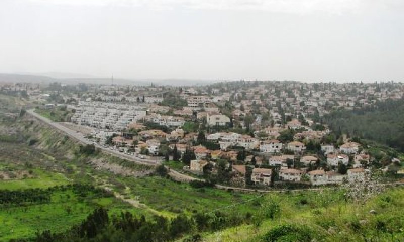 שמונה מגרשים באורנית