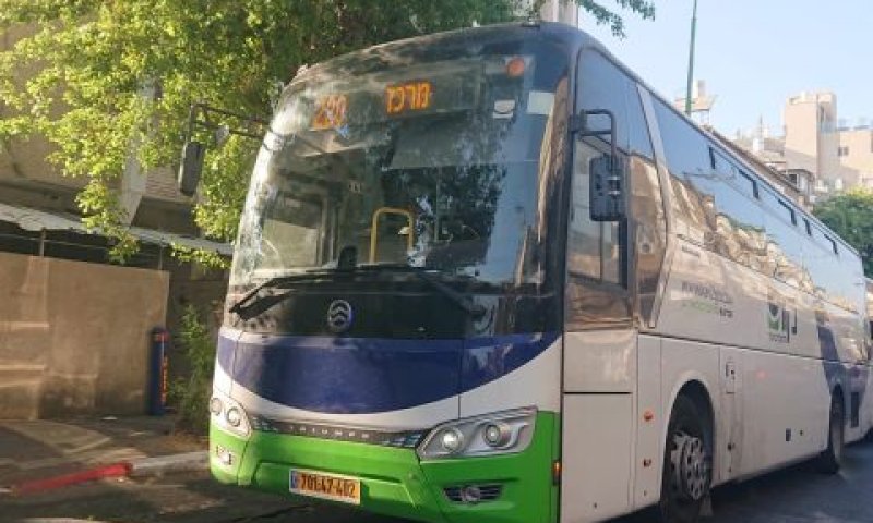 חברת קווים. בתחתית הדירוג [צילום: אברהם שטרן]