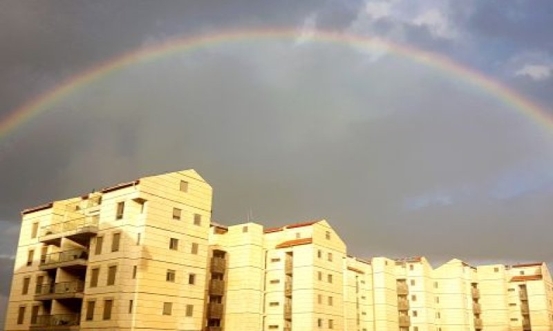 פרויקט רובינשטיין על הפארק[צילום: מורג בין]